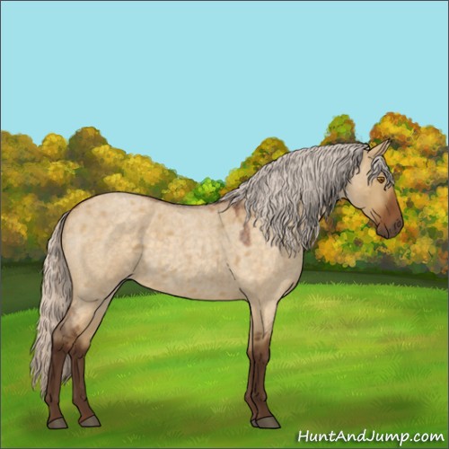 Horse Color:Silver Buckskin Roan Dun 