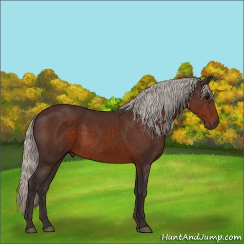 Horse Color:Silver Brown