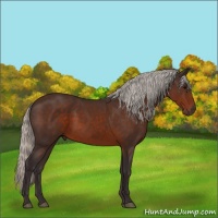 Horse Color:Silver Brown