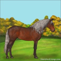 Horse Color:Silver Brown 