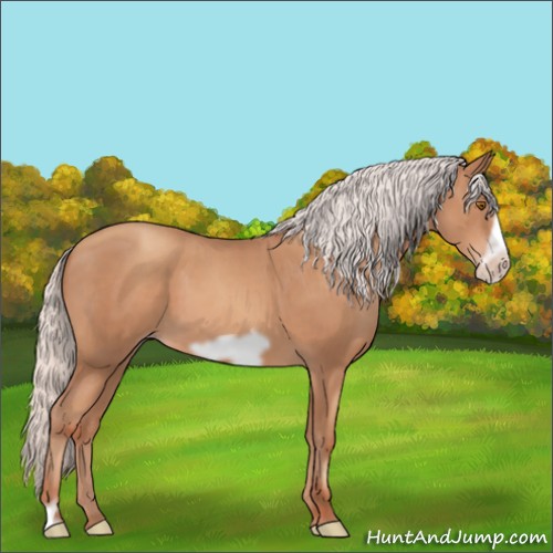 Horse Color:Silver Classic Champagne Frame
