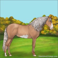 Horse Color:Silver Classic Champagne Frame 