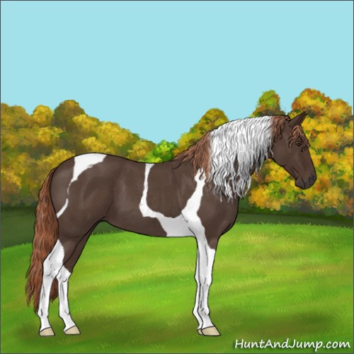 Horse Color:Liver Red Roan Tobiano 