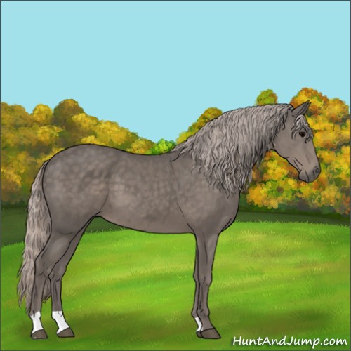 Horse Color:Silver Black