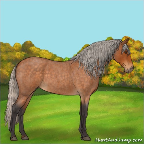 Horse Color:Silver Buckskin Roan 