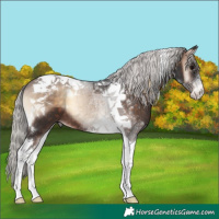 Horse Color:Silver Brown Onyx Tobiano 