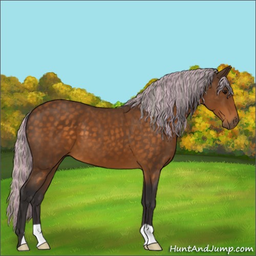 Horse Color:Painted Silver Buckskin