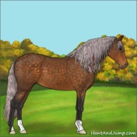 Horse Color:Painted Silver Buckskin 