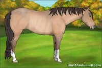 Horse Color:Sable Champagne Rabicano 