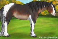 Horse Color:Brown Splash Tobiano 