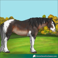 Horse Color:Brown Splash Tobiano 