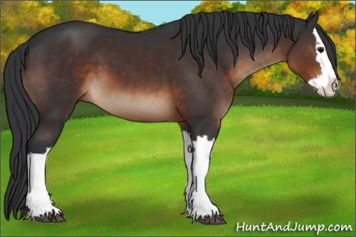 Horse Color:Brown Splash 