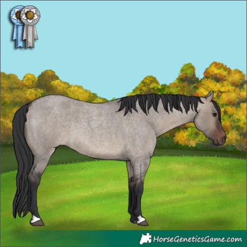 Horse Color:Brown Roan Dun Mushroom 
