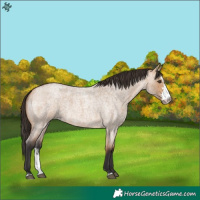 Horse Color:Bay Roan Dun Sabino