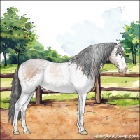 Horse Color:White Spotted Brown Sabino 
