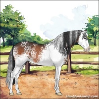 Horse Color:White Spotted Brown Splash Rabicano 