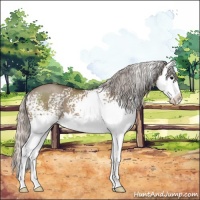 Horse Color:White Spotted Silver Grullo Sabino Splash 
