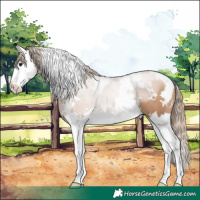 Horse Color:White Spotted Black Pearl Splash 
