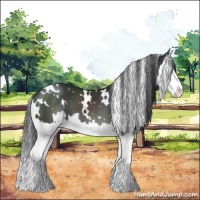 Horse Color:White Spotted Black Sabino Splash 