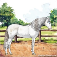 Horse Color:White Spotted Grullo Pearl Splash 