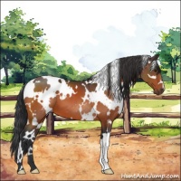 Horse Color:White Spotted Brown 