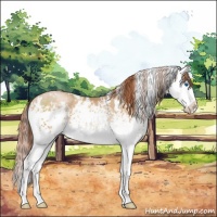 Horse Color:White Spotted Buckskin Pearl Splash Rabicano 