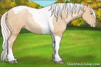 Horse Color:Silver Smoky Black Pearl Tobiano Rabicano