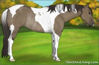 Horse Color:Smoky Grullo Tobiano Rabicano