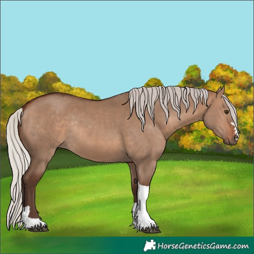 Horse Color:Silver Brown Dun Tobiano Rabicano 