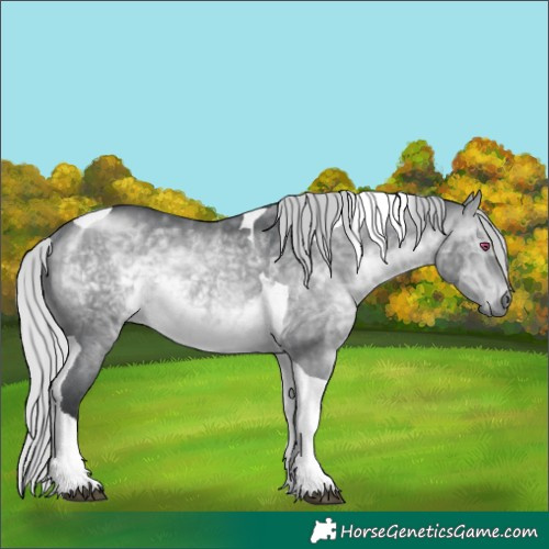 Horse Color:Silver Brown Chinchilla Dun Tobiano Rabicano