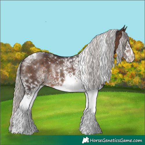 Horse Color:White Spotted Silver Brown Tobiano