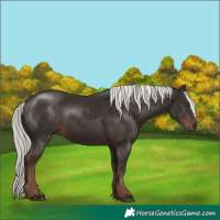 Horse Color:White Spotted Liver Chestnut Mushroom Rabicano 