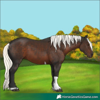 Horse Color:White Spotted Liver Chestnut Mushroom Tobiano Rabicano 