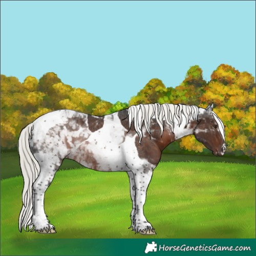Horse Color:Liver Chestnut Mushroom Tobiano Rabicano