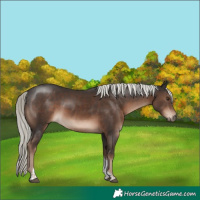 Horse Color:White Spotted Liver Chestnut Mushroom Tobiano Rabicano 