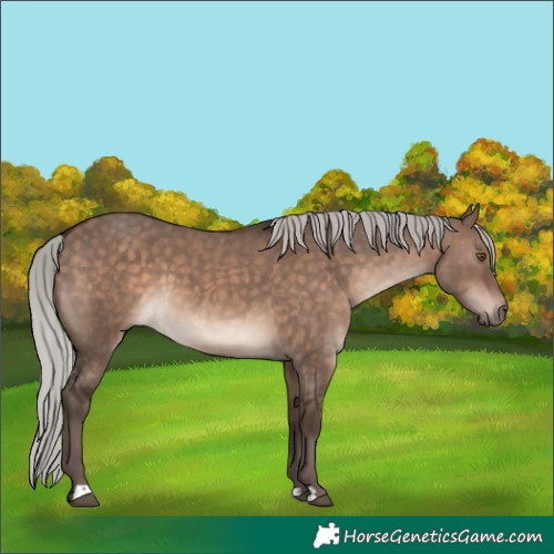 Horse Color:Silver Brown Dun Mushroom