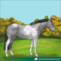 Horse Color:Brown Chinchilla Ice Tobiano 