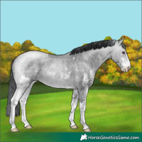 Horse Color:Brown Chinchilla Roan Sabino 