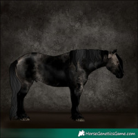 Horse Color:Void White Spotted Bay Dun Mushroom Sabino