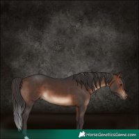 Horse Color:Brown 