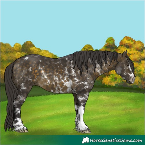 Horse Color:Buckskin Sabino 