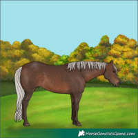 Horse Color:Silver Brown 