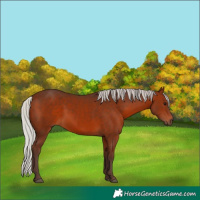 Horse Color:Silver Brown 