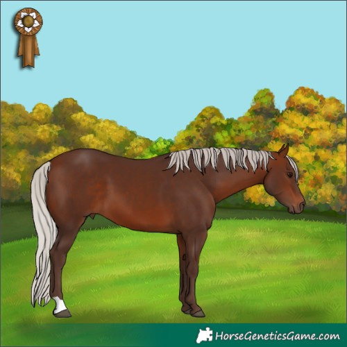 Horse Color:Silver Bay 