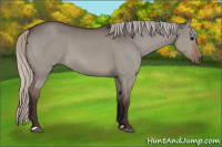 Horse Color:Silver Brown Dun 