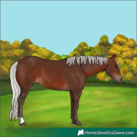Horse Color:Silver Brown 