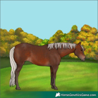 Horse Color:Silver Brown