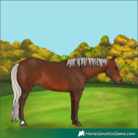 Horse Color:Silver Brown 
