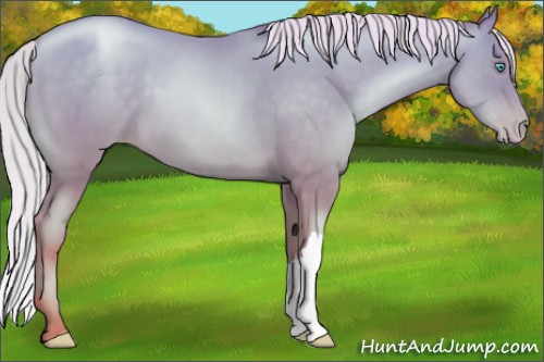 Horse Color:Chocolate Silver Sable Cream Champagne Pearl 