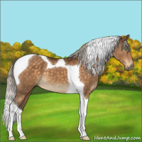 Horse Color:Silver Buckskin Mushroom Tobiano 